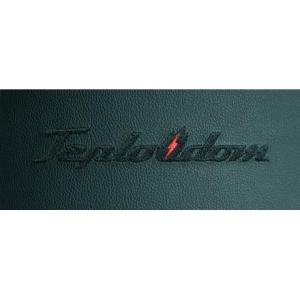 Электрический котел Teplodom i-TRM SILVER StS 12 кВт в Лиде