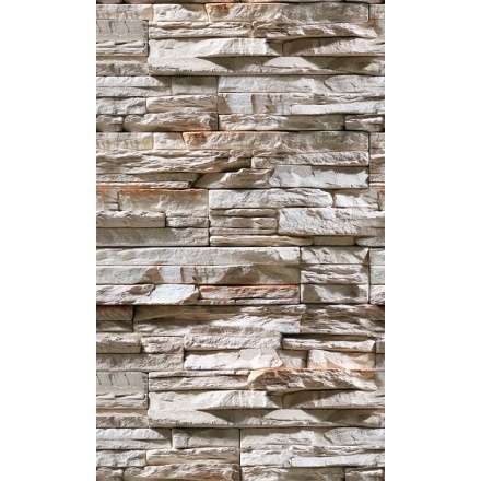 Фиброцементная плита Фаспан Дикий камень №1007 Вертикаль (1200х800х8 мм) купить в Лиде