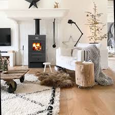 Печь-камин Blist B 2 Амазонка бай фото в Лиде