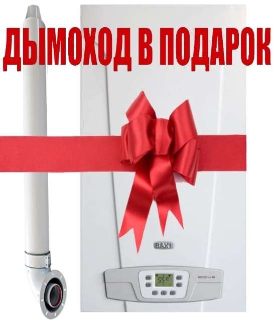 Газовый котел Baxi ECO 4S 10F в Лиде