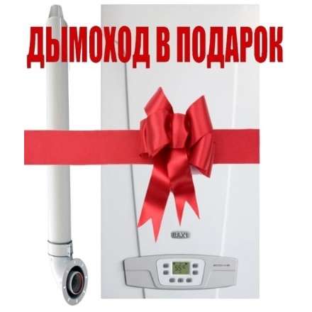 Газовый котел Baxi ECO 4S 1.24F в Лиде