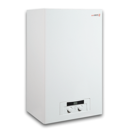 Газовый котел Protherm Рысь 24 Lynx HK 24 в Лиде