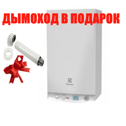 Газовый котел Electrolux GCB 24 Basic Space Duo Fi в Лиде