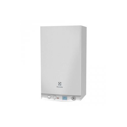 Газовый котел Electrolux GCB 24 Basic Space Duo Fi в Лиде