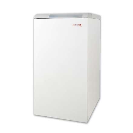 Газовый котел Protherm Медведь 20 KLOM в Лиде