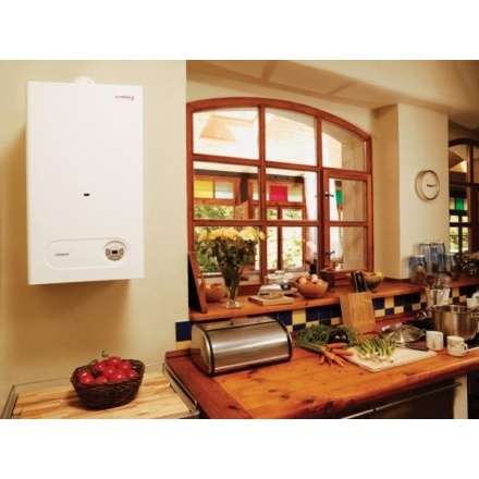 Газовый котел Protherm Тигр 24 KTZ в Лиде