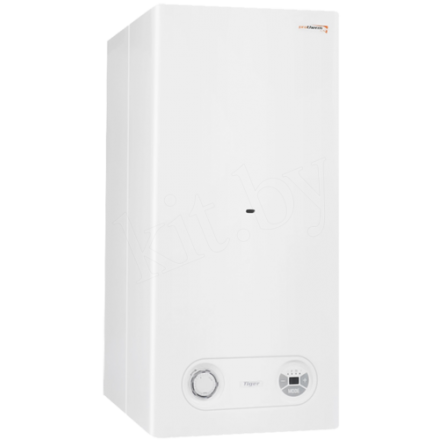 Газовый котел Protherm Тигр 24 KTZ в Лиде