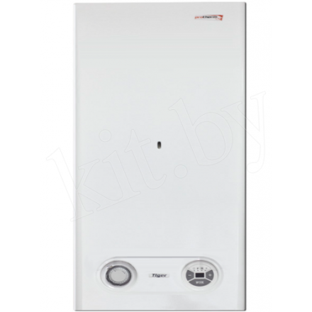 Газовый котел Protherm Тигр 24 KTZ в Лиде